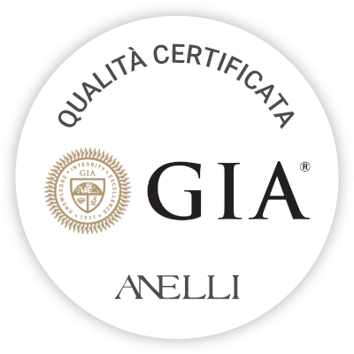 logo-video-gia_1_1_1_1_1